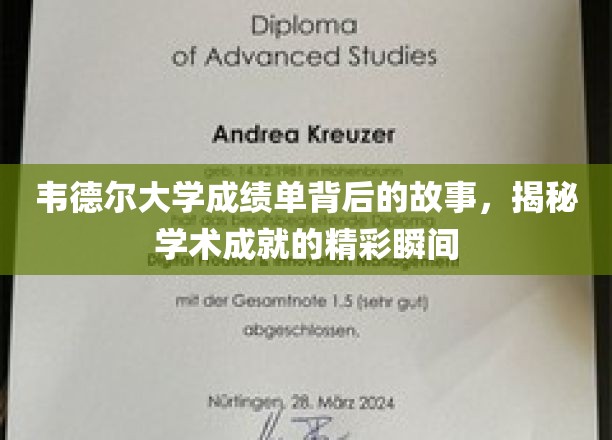 韦德尔大学成绩单背后的故事，揭秘学术成就的精彩瞬间