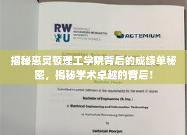 揭秘惠灵顿理工学院背后的成绩单秘密，揭秘学术卓越的背后！
