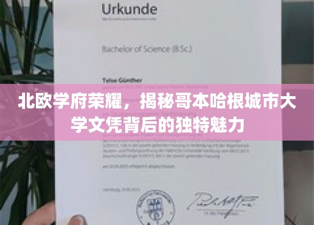北欧学府荣耀，揭秘哥本哈根城市大学文凭背后的独特魅力