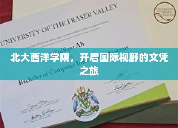北大西洋学院，开启国际视野的文凭之旅