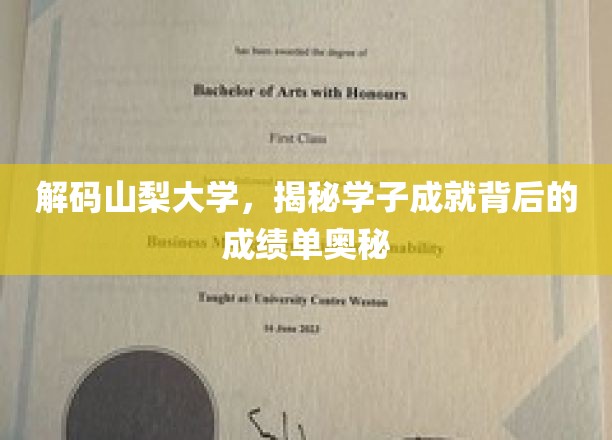 揭开山梨大学学霸传奇，揭秘学子辉煌背后的学术秘籍