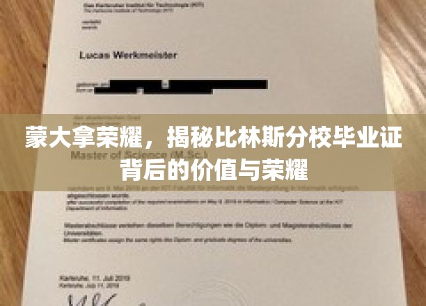 蒙大拿荣耀之光，比林斯分校毕业证背后的传奇故事