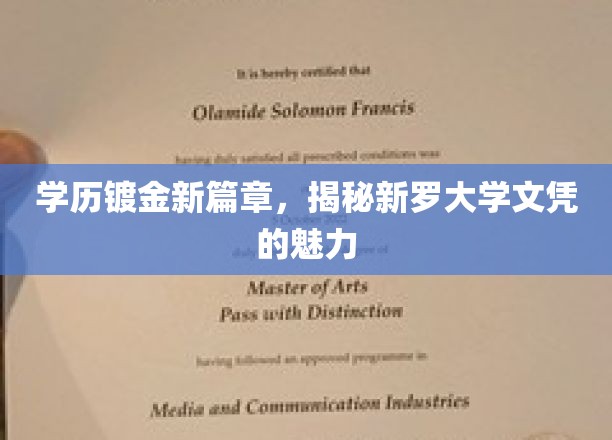 学历镀金新篇章，揭秘新罗大学文凭的魅力