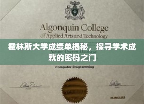 霍林斯大学成绩单解析，揭秘学术成就背后的秘密