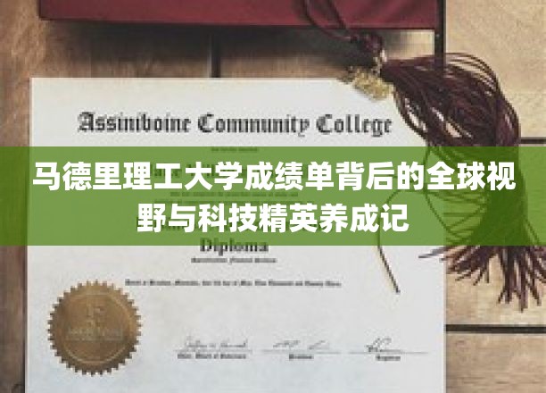 马德里理工大学成绩单背后的全球视野与科技精英养成记
