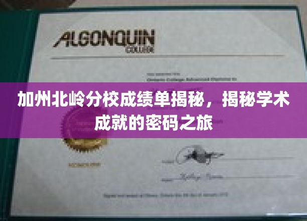 解码加州北岭分校，揭开学术辉煌背后的成绩单秘密