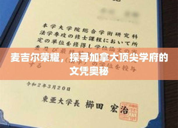 解码麦吉尔辉煌，揭秘加拿大精英学府的文凭魅力