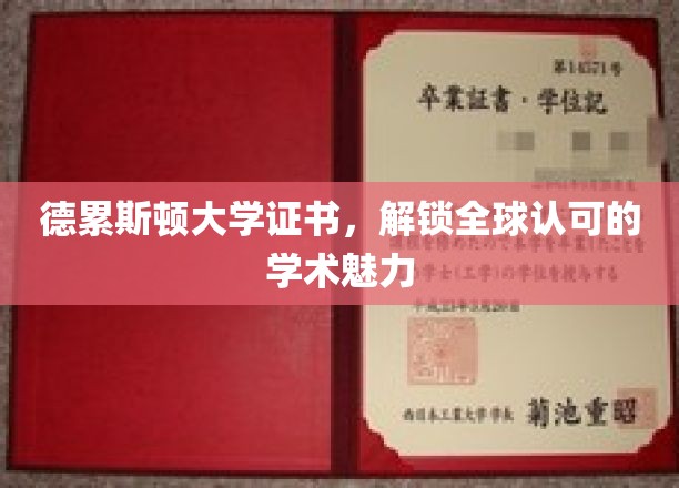 德累斯顿大学证书，全球通行证开启学术之旅
