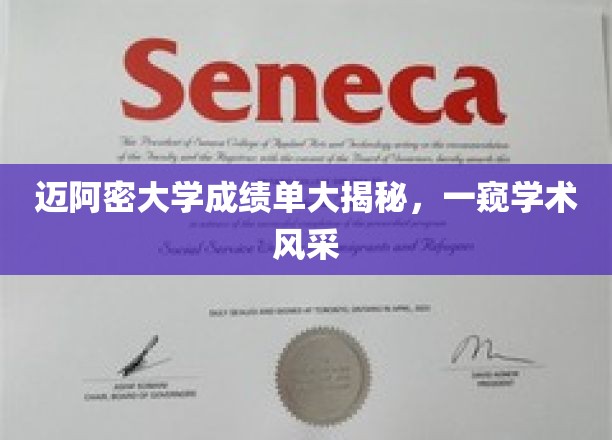 迈阿密大学成绩单揭秘，探寻学术实力与风采的秘境