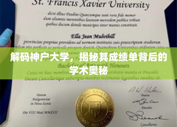 探秘神户大学，揭开学术殿堂成绩单的秘密面纱