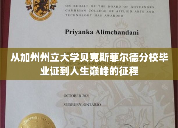 从加州州立大学贝克斯菲尔德分校毕业证到人生巅峰的征程