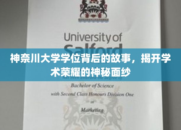 神奈川大学学位背后的故事，揭开学术荣耀的神秘面纱