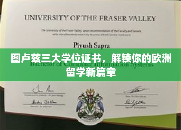 欧洲留学新起点，图卢兹三大学位证书，开启你的学术旅程