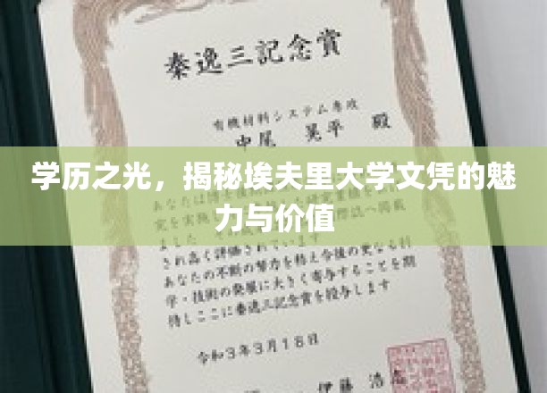 学位荣耀，埃夫里大学文凭的璀璨风采与深远影响
