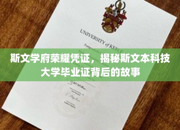 斯文荣耀，揭开斯文本大学文凭的神秘面纱