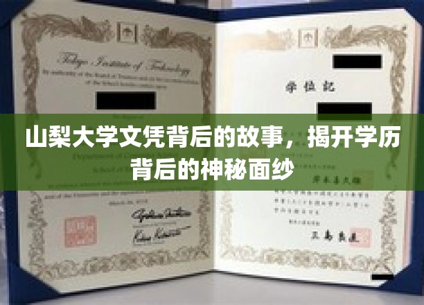 山梨大学文凭之谜，探寻学历背后的真实故事