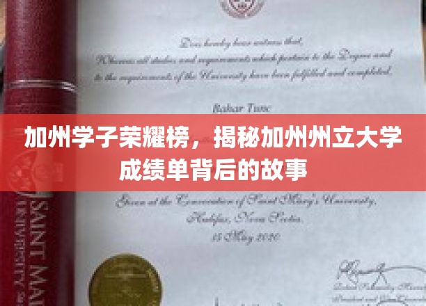加州学子荣耀榜，揭秘加州州立大学成绩单背后的故事