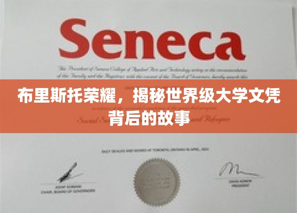 探寻布里斯托荣耀，解码世界级大学文凭的传奇之路