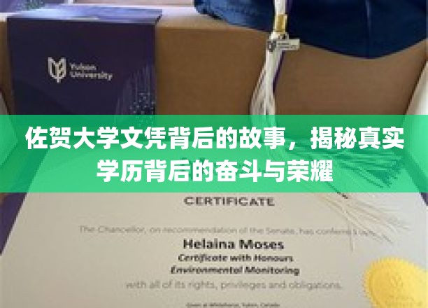 佐贺大学文凭背后的故事，揭秘真实学历背后的奋斗与荣耀