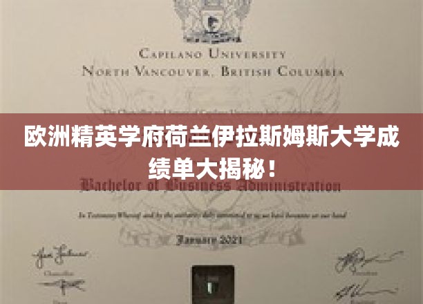 荷兰伊拉斯姆斯大学，揭秘精英学府的卓越成绩单背后的秘密