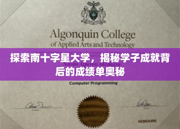 解码南十字星精英之路，学子辉煌背后的成绩单秘密