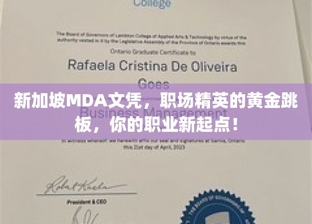 新加坡MDA文凭，职场精英的黄金跳板，你的职业新起点！