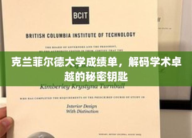 探寻克兰菲尔德大学卓越成绩单背后的学术奥秘