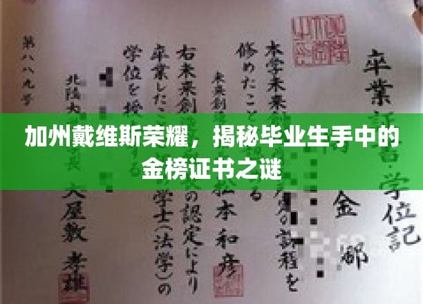 加州荣耀证书揭秘，戴维斯毕业生如何手握金榜之谜