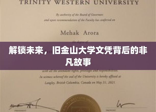 硅谷精英摇篮，揭秘旧金山大学文凭的传奇之路