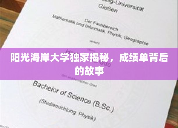 阳光海岸大学成绩单背后的神秘面纱，揭秘真实学霸养成记