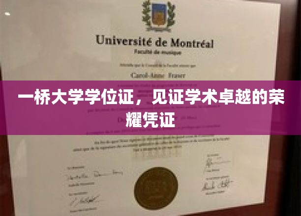 一桥荣耀，学位证书承载的学术巅峰之旅