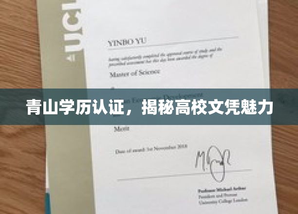 高校文凭魅力大揭秘，青山学历认证助力梦想起航