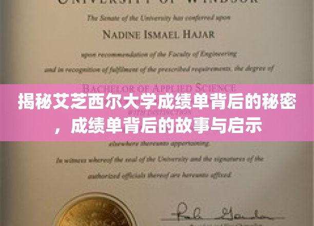 揭秘艾芝西尔大学成绩单背后的秘密，探寻成绩单背后的故事与启示