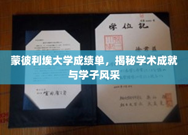 蒙彼利埃大学成绩单，展现学术成就与学子风采