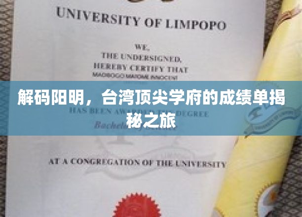 阳明之光，台湾名校卓越成绩背后的智慧解码之旅