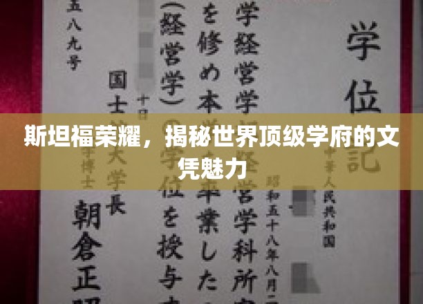 斯坦福光环，揭秘顶尖名校文凭背后的独特吸引力