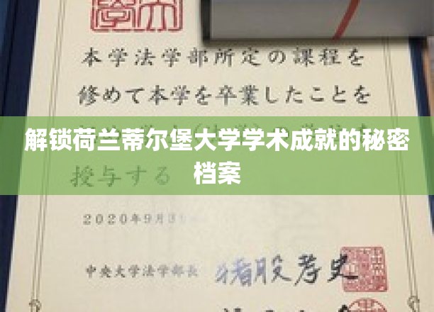 荷兰蒂尔堡大学，揭秘其卓越学术成就的神秘钥匙