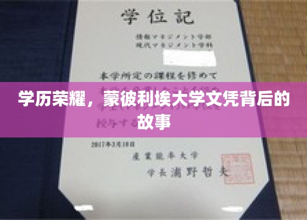 蒙彼利埃荣耀，一纸文凭背后的求学传奇与人生启示