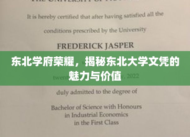 东北英才摇篮，东北大学文凭的非凡魅力与深远影响