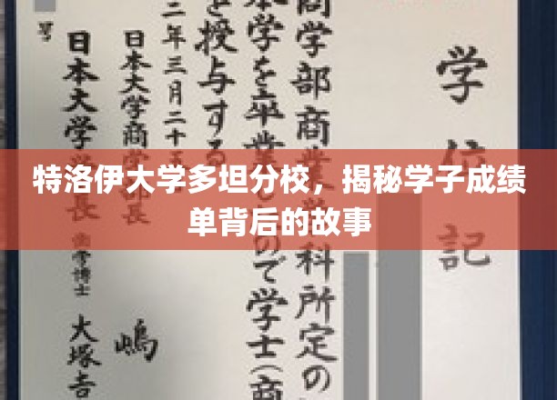 揭开特洛伊大学多坦分校学子成绩单背后的成长轨迹
