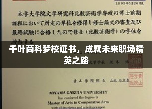 千叶商科梦校证书，开启职场精英的璀璨未来之旅