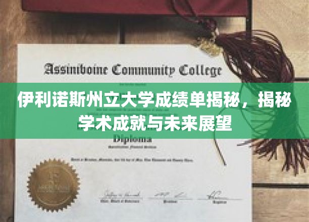 伊利诺斯州立大学揭秘，学术成就与未来蓝图一探究竟