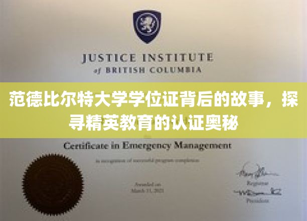 范德比尔特大学学位证背后的故事，探寻精英教育的认证奥秘