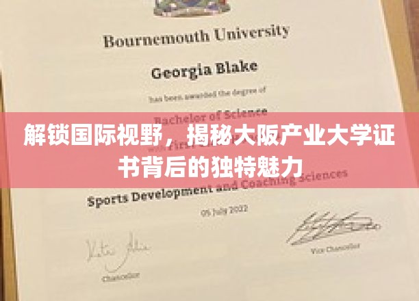 解锁国际视野，揭秘大阪产业大学证书背后的独特魅力