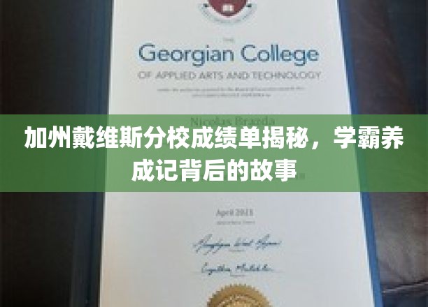 揭秘加州戴维斯学霸养成，揭秘学霸背后的不为人知故事