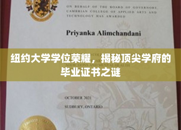 纽约大学学位荣耀，揭秘顶尖学府的毕业证书之谜