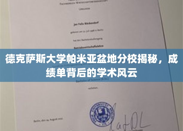 解码德克萨斯大学帕米亚盆地分校，成绩单背后的学术奥秘