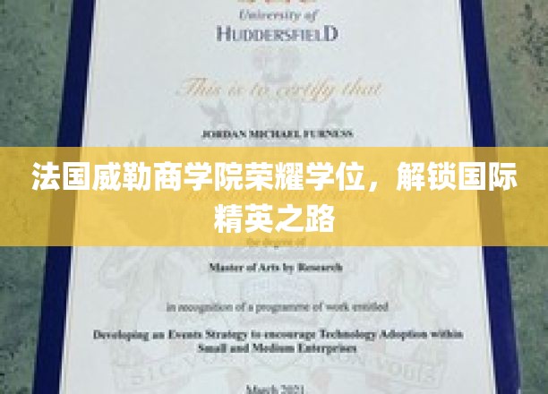 法国威勒商学院荣耀学位，解锁国际精英之路