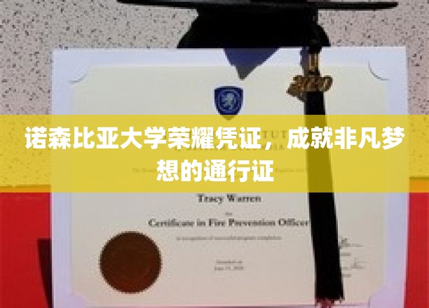诺森比亚荣耀通行证，开启非凡梦想之旅的学术护照