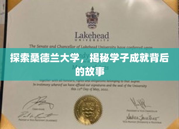 桑德兰学府之光，揭秘学子辉煌成就背后的青春足迹